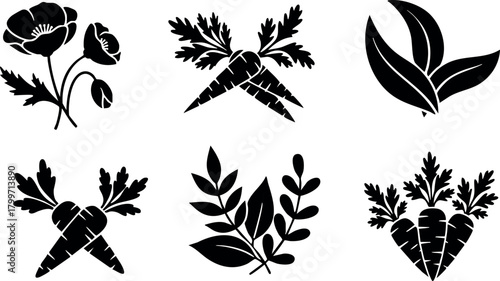 Vector black silhouette icons of carrots, leaves, and flowers with natural organic design elements