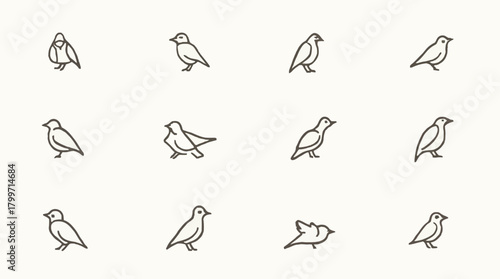 Minimalist line art icons featuring a diverse collection of small birds in various poses