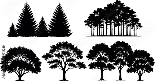 Set of black tree silhouettes, including pine, fir, and deciduous trees. Vector collection of forest icons, isolated on white background.
