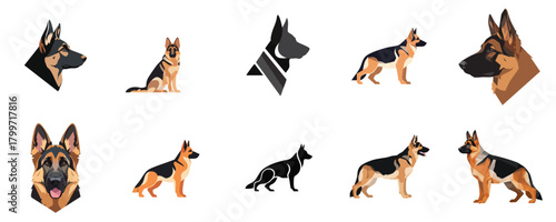 Pastor Aleman Dog Poses Vector Set. German Shepherd Character Illustrations in Flat Design Style for Mascot and Action Graphics