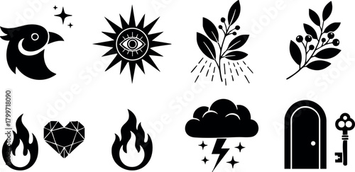 Set of nine black mystical and natural vector icons including fish, sun, roots, branches, fire, heart, cloud, door and key