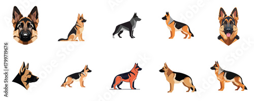 German Shepherd Dog Head Profile and Body Vector Set. Black and Tan Color Illustration for Professional Logo and Corporate Branding Elements
