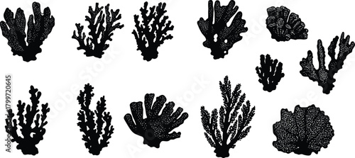 PrintCoral silhouette icons, marine biology graphics, black reef shapes, ocean life symbols, underwater nature design, sea structure illustration, aquatic elements