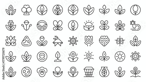 Collection of minimalist floral and plant icons in a clean, modern, and linear style design