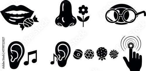 Sensory icons representing lips with candy, nose with flower, glasses, ears with music note, eyes, and finger touch vector illustration
