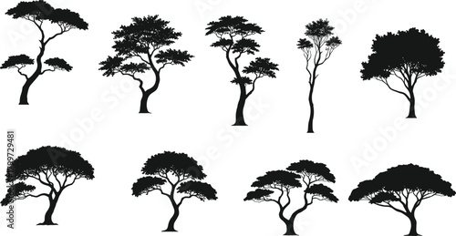 PrintTree silhouette set, black vector trees, diverse canopy shapes, nature illustration, botanical graphic, minimal design, forest icon, landscape art