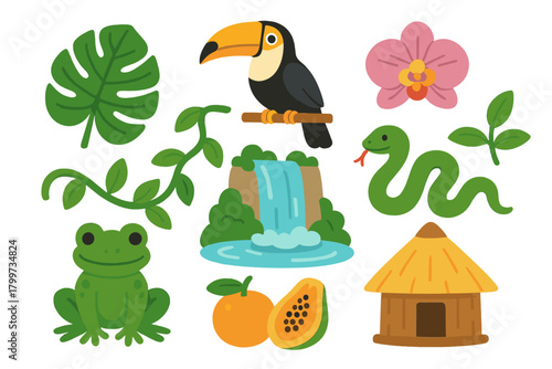 Cute tropical rainforest animals, plants, and natural environment elements