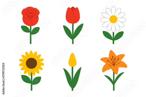 Set of six popular spring and summer flowers rose tulip daisy sunflower and lily