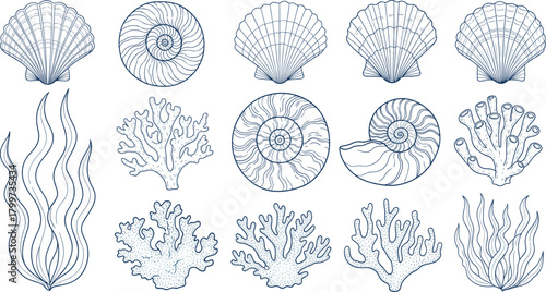 Vintage Engraving Set of Underwater Marine Elements, Including Seashells, Spiral Shells, Coral Reefs, and Seaweed, Representing Ocean Life and Biology Vector