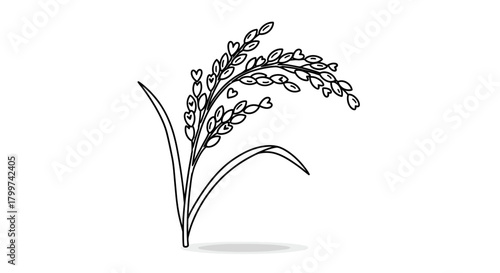 Minimalistic Rice Plant Illustration: A Symbol of Agriculture and Harvest Season