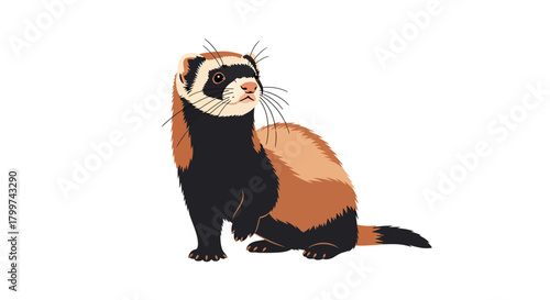 Illustrative depiction of a charming ferret with detailed vector artstyle and natural colours