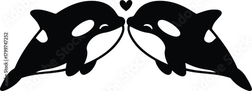 Symmetrical black and white orca whales facing each other