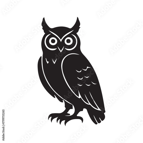 owl vector illustration on white background