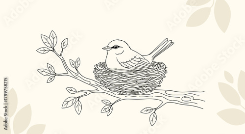 A delicate drawing of a bird nestled in its home on a blooming branch.