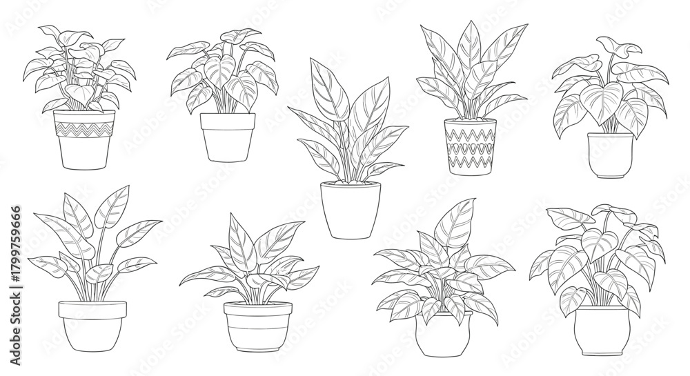 Fototapeta premium Collection of outlined houseplants in pots, ready for coloring or as decorative elements in various designs.