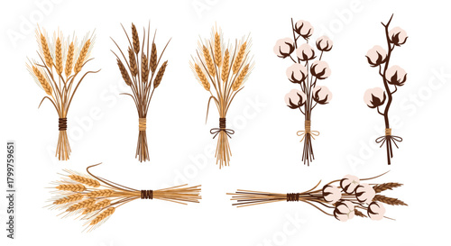 Bundles of golden and dark dried grains, including wheat, rye, and barley, presented with branches of fluffy white cotton bolls.