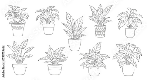 Collection of outlined houseplants in pots, ready for coloring or as decorative elements in various designs.