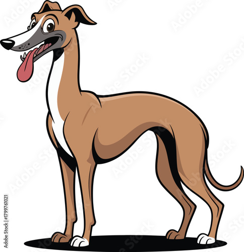  Cute cartoon a illustrator vector ltalian greyhound