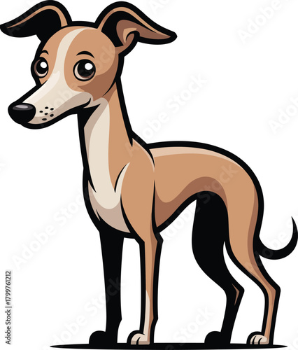  Cute cartoon a illustrator vector ltalian greyhound