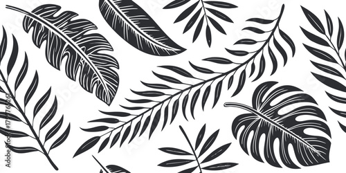 Elegant monochrome banner featuring a stylish pattern of various tropical jungle leaves. A modern black and white botanical background design