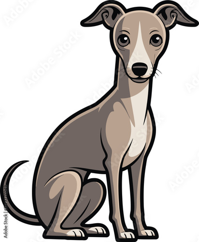  Cute cartoon a illustrator vector ltalian greyhound