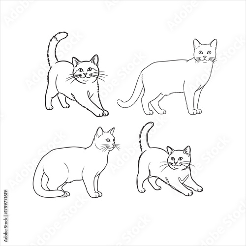 Set of Outline Cat Poses for Coloring Book