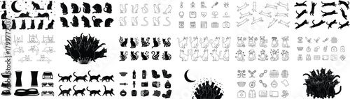 Various cat illustrations and pet care items kitten