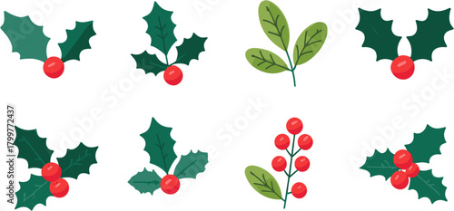 Collection of holly vector icons on white background with different patterns, flat design vector graphics