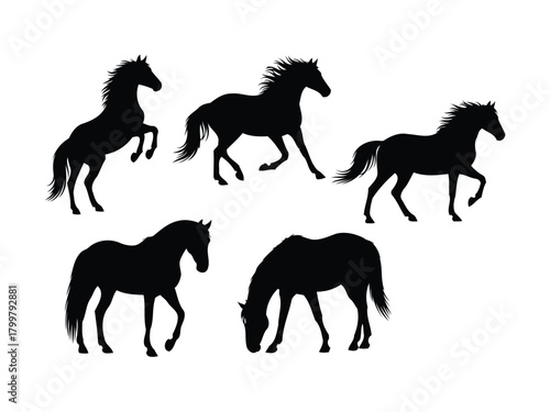 Wild and Domestic Horse Silhouettes Collection. Running, Standing, and Grazing Equine Poses in Clean Black Vector Animal Illustration Set
