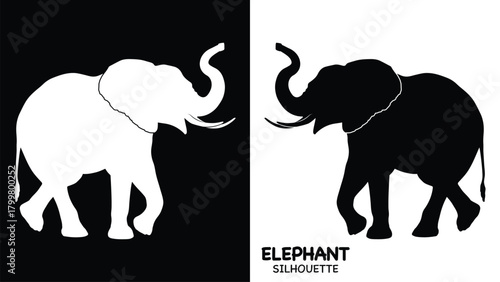 Elephant Silhouette icon. Simple vector illustration, Side view black big asian elephant silhouette vector illustration design on white and black background, Walking big elephant strong power, sign