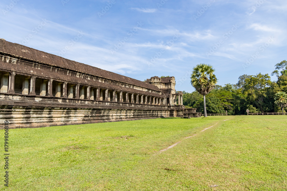 Fototapeta premium Angkor wat outer gallery shows a long stone colonnade beside a lone palm and wide grassy lawn under a blue sky in siem reap, cambodia