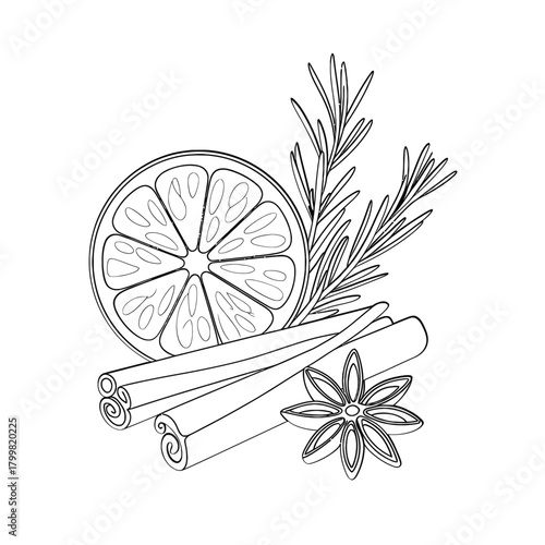Hand drawn sketch of orange slice cinnamon sticks star anise and rosemary