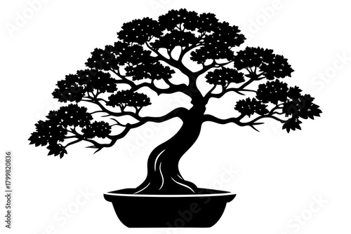 Bonsai Tree