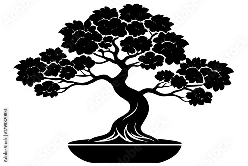 Bonsai Tree