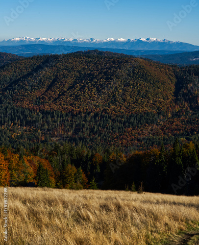 Fototapeta Naklejka Na Ścianę i Meble -  Tatra mountains from Hala Rycerzowa in Beskid Zywiecki mountains in Poland near borders with Slovakia