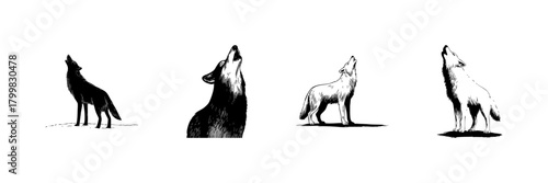 Howling Wolf Silhouette Doodle Sketch Set. Wildlife Communication And Pack Behavior In Hand Drawn Style Collection. Nature And Wilderness Symbolism. Hand Drawn Isolated Vector Illustration