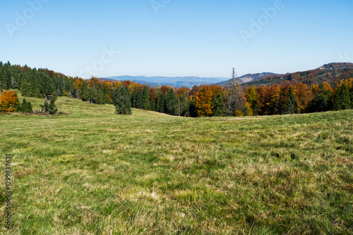 Fototapeta Naklejka Na Ścianę i Meble -  Autumn on Hala Srubita in Beskid Zywiecki mountains in Poland near borders with Slovakia