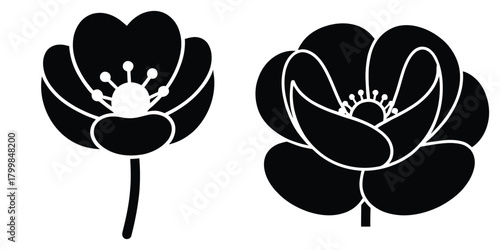 buttercup bloom silhouette flowers isolated on transparent background