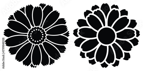 calendula silhouette flowers isolated on transparent background