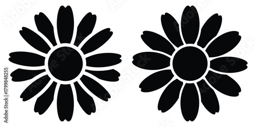 camomile silhouette flowers isolated on transparent background