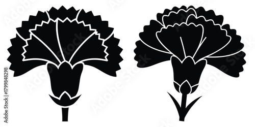 carnation silhouette flowers isolated on transparent background