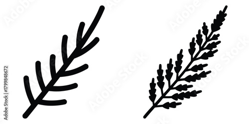 heather sprig silhouette flowers isolated on transparent background