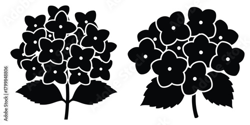 hydrangea cluster silhouette flowers isolated on transparent background