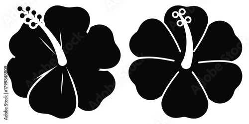 hibiscus silhouette flowers isolated on transparent background