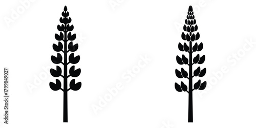 lupine stem silhouette flowers isolated on transparent background