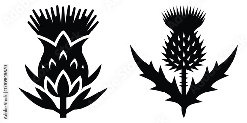 thistle silhouette flowers isolated on transparent background