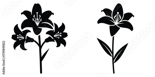 wild lily silhouette flowers isolated on transparent background