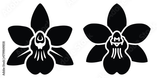 wild orchid silhouette flowers isolated on transparent background