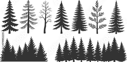 Tree silhouette illustration set with coniferous and deciduous forest scenes in black vector style