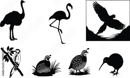 Bird silhouettes, ostrich, flamingo, woodpecker, kiwi, quail, flying bird, nature, wildlife, vector, black, isolated, perched, walking, landscape, hills, water, feather, animal, avian, illustration